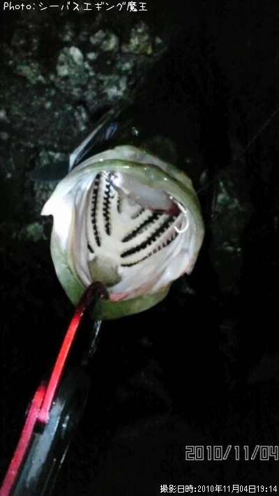 �����Х�