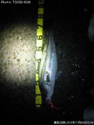 �����Х�