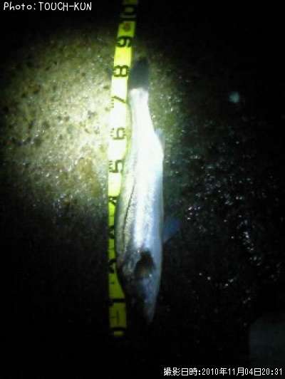 �����Х�