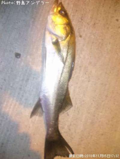 �����Х�