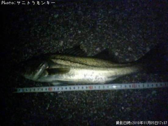 �����Х�