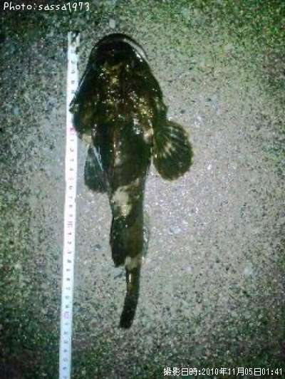 �ȥ�������