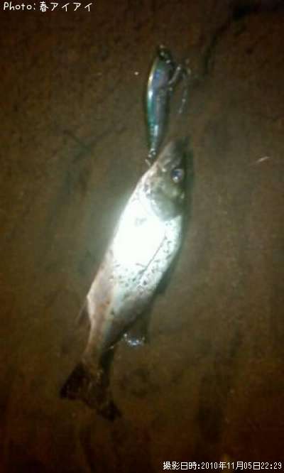 �����Х�