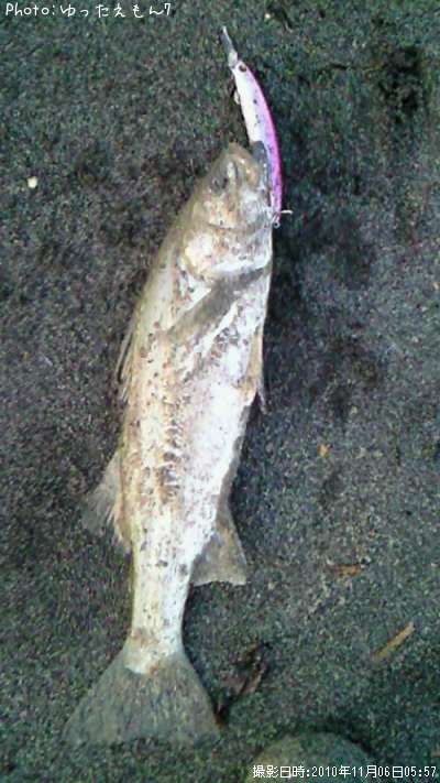 �����Х�