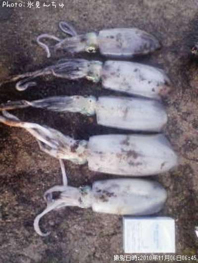 �����ꥤ��