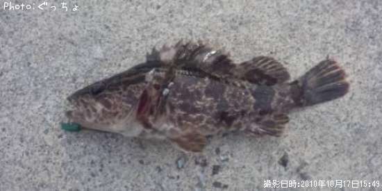 �����Υ���Х�