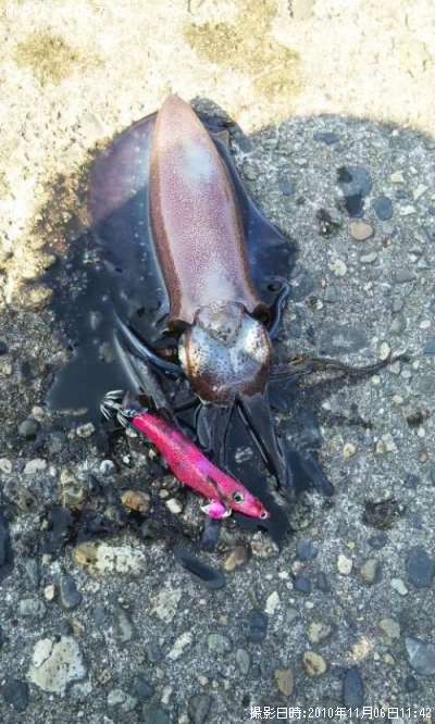 �����ꥤ��