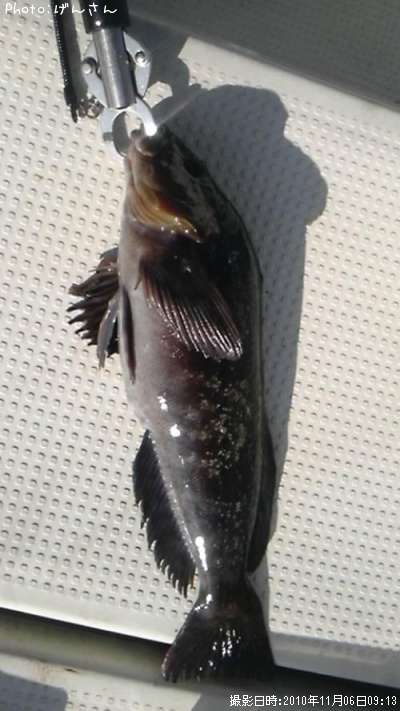 �����ʥ�