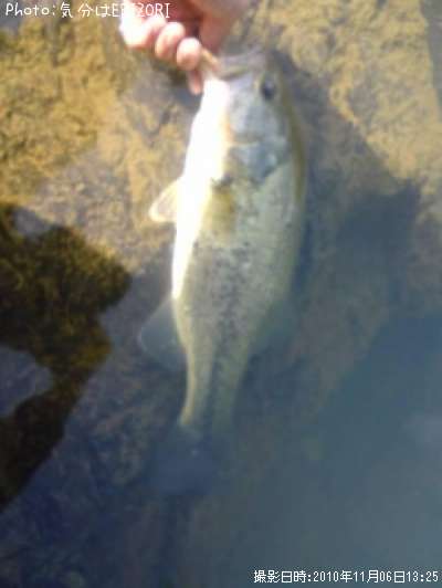 �֥�å��Х�