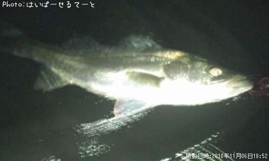 �����Х�