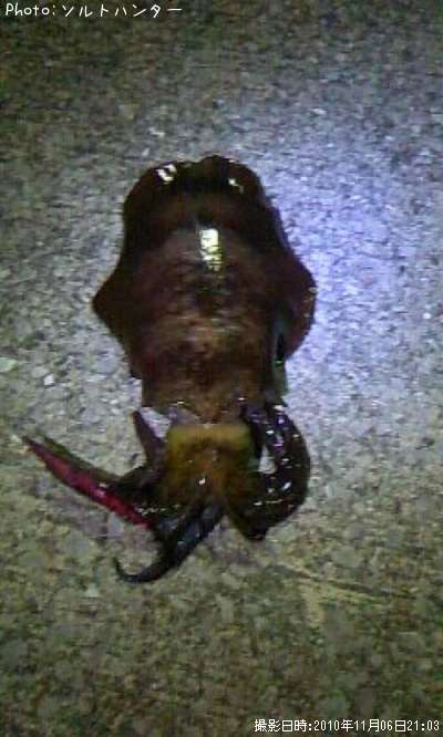 �����ꥤ��