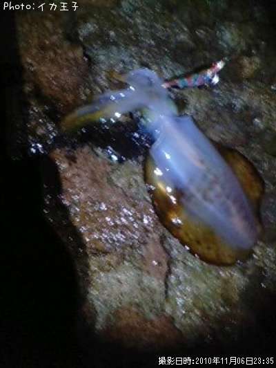 �����ꥤ��