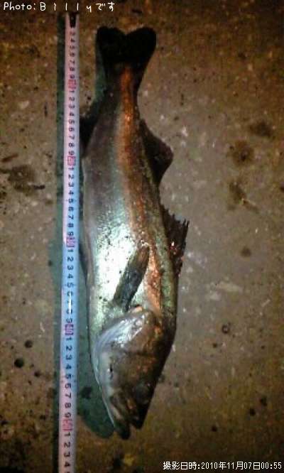 �����Х�