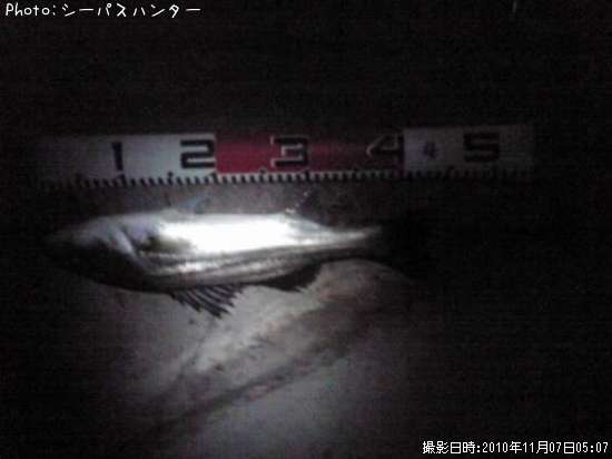 �����Х�