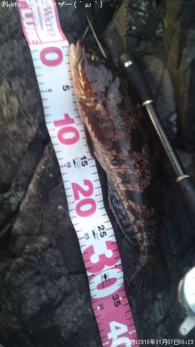 �����ʥ�