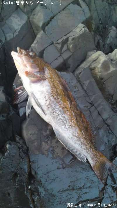 �����ʥ�