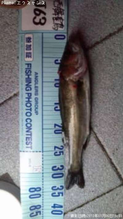 �����Х�