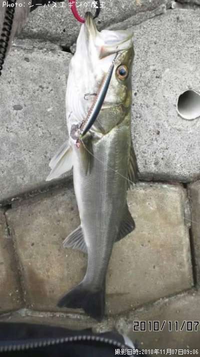 �����Х�