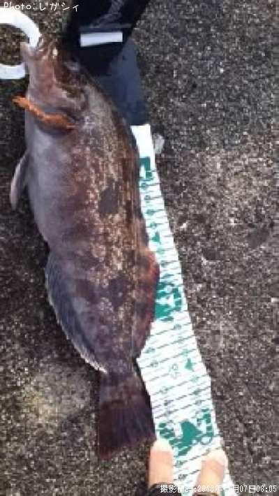 �����ʥ�