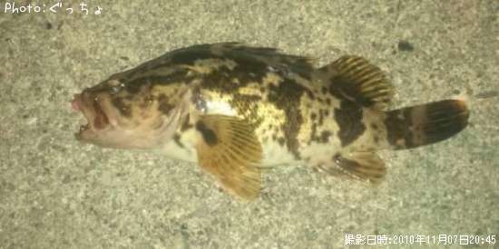 �����Υ���Х�