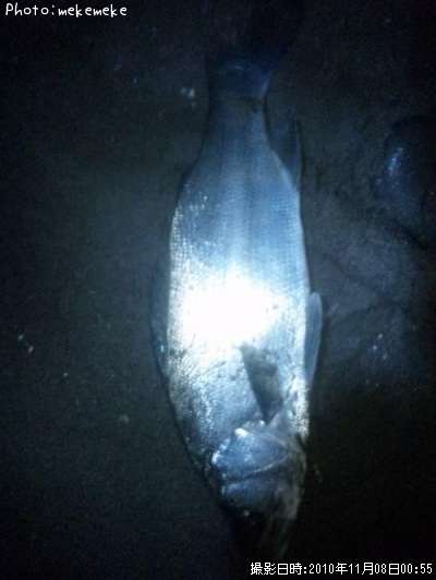 �ҥ饹����