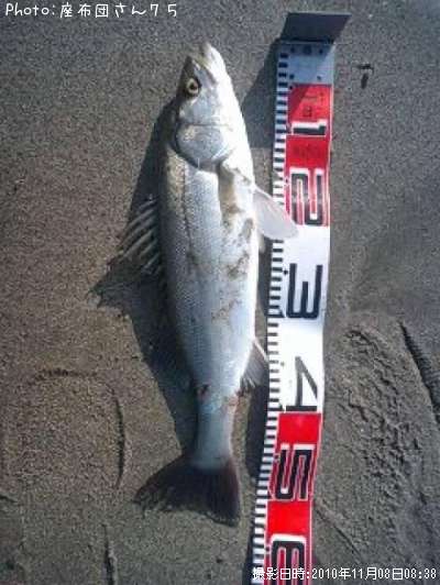 �����Х�