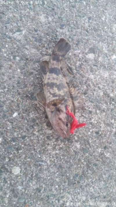 �����Υ���Х�