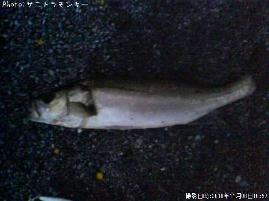 �����Х�