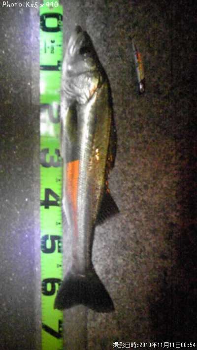 �����Х�