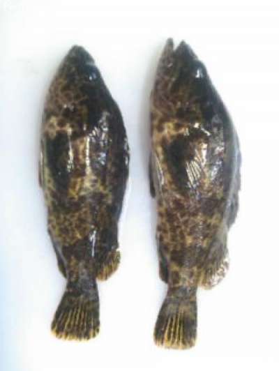 �����Υ���Х�