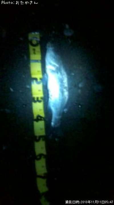 �ҥ饹����