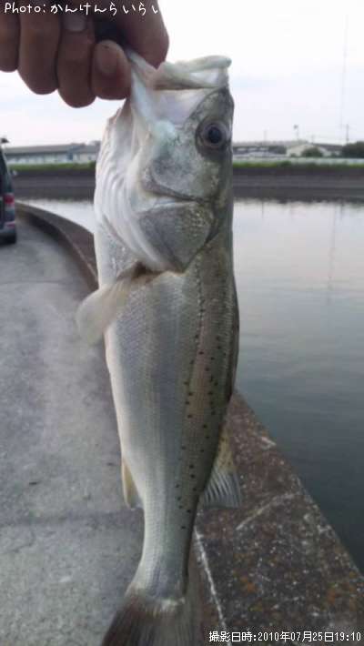 �����Х�