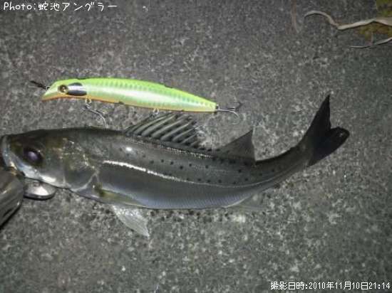 �����Х�