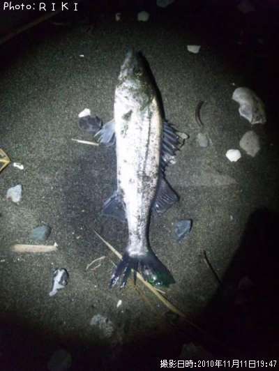 �����Х�