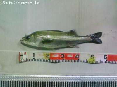 �ӣ��£���