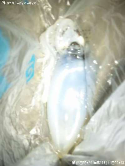 �����ꥤ��