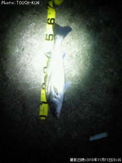 �����Х�