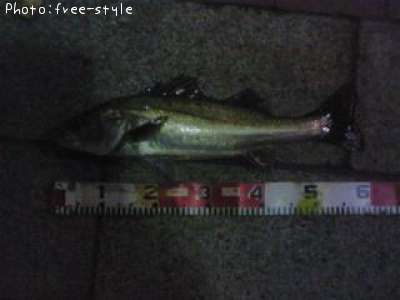 �ӣ��£���