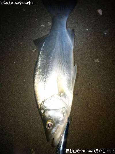 �ҥ饹����