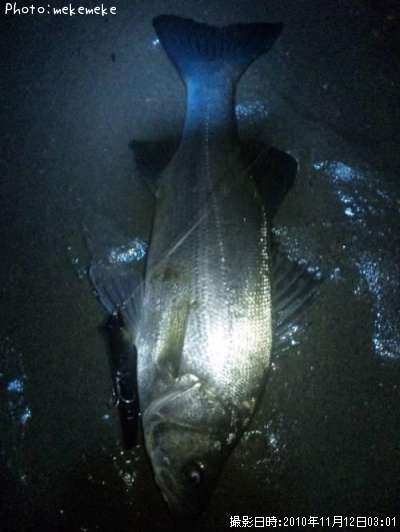 �ҥ饹����