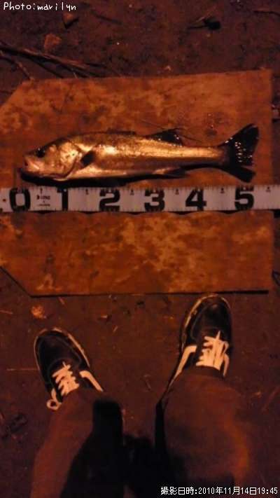 �����Х�