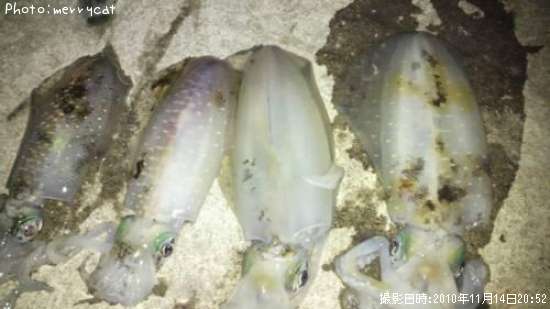 �����ꥤ��