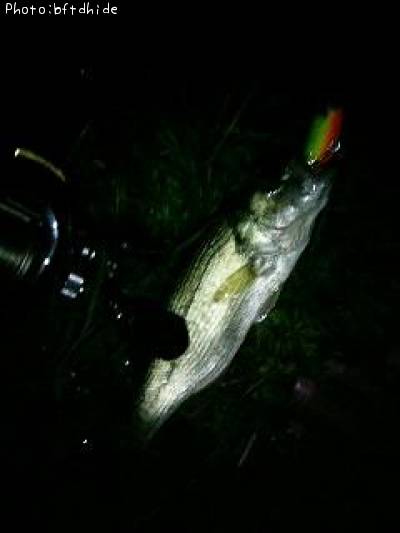 �֥�å��Х�