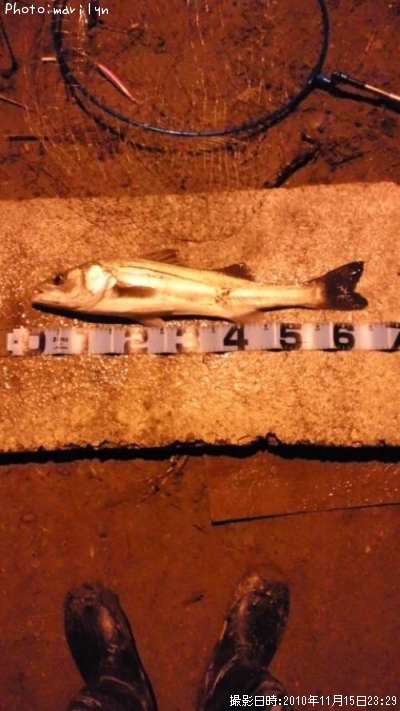 �����Х�