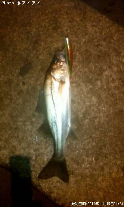 �����Х�