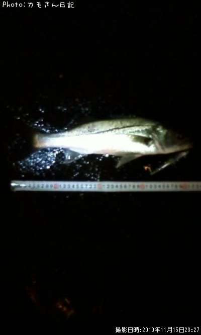 �����Х�