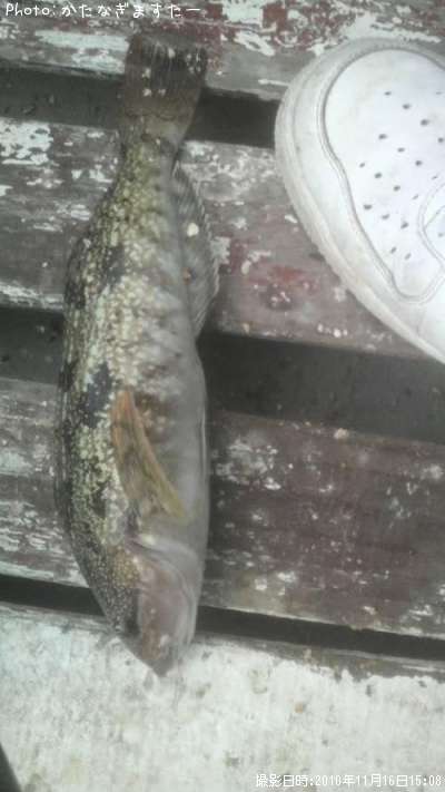 �����ʥ�