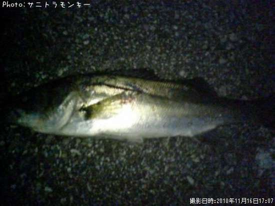 �����Х�