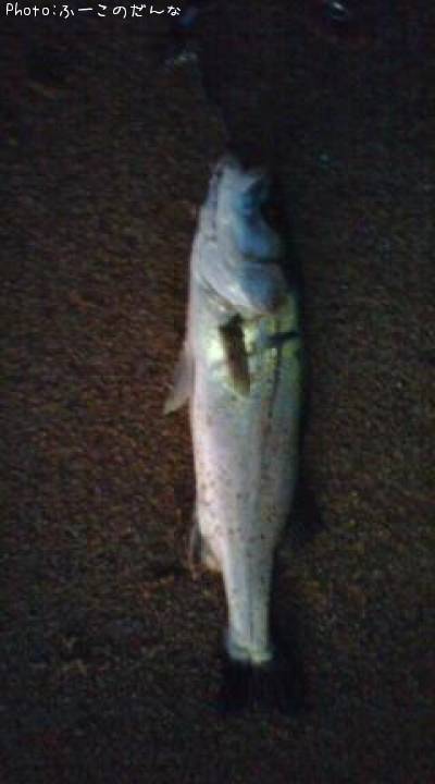 �����Х�