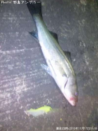 �����Х�